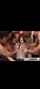 beautiful gangbang jav