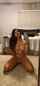 indian desi slut
