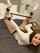 bdsm bondage brunette