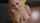 cumshot tits compilation