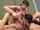 threesome ffm double bj