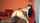 hot sex ass