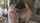 blair williams kissing sensual