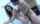 bobbi starr outdoor doggystyle