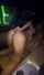 big ass big tits anal