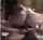 threesome riding blonde
