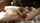 lesbian kissing fingering