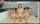 camgirl amateur hot
