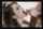 emily addison facial blowjob