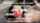 doubledu001 camgirl blueeyes
