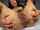 camgirl hairy amateur