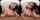 vr porn big tits jav
