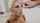 pornstar model adult