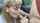 russian blonde blowjob