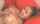 asian big tits tittyfuck