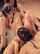 camgirl amateur ebony