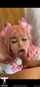 blowjob facial pink hair