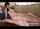 jav japanese adult video