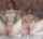 pussy masturbation tits
