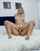 pornstar model adult