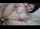 jav japanese adult video