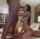 hotwife mfm threesome