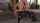sweetie fox deepthroat red hair
