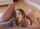 bbc blowjob petite