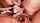 asian blowbang blowjob