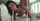 pornstar model adult