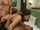 teen foursome double penetration