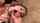 amateur cumslut deepthroat