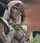 elf elven anime