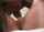interracial bbc creampie