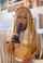 camgirl asian cosplay