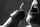 blowjob pov tonge