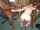 milf swinger wife