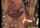 vipcrew bikini milf
