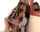 lesbian making out kissing
