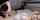 camgirl amateur doggy