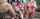strap on gangbang lesbians