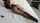pantryhose stripchat vibration