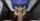 pov heterosexual ankha