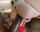 anal bbc big cock