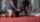 noemie bilas doggy ebony