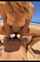 hairy pussy amateur couple