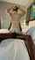milf swinger wife