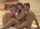 red hair threesome kissing