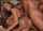 brunette teen double penetration