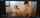 amateur teens standing doggystyle